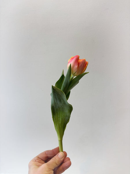 Bouquet de tulipes doubles et perroquets locales au format plus court que prévu